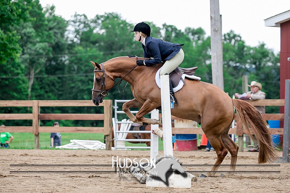 4H-2nd-071517-2188.jpg
