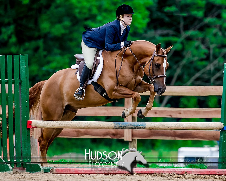 4H-2nd-071517-2189.jpg