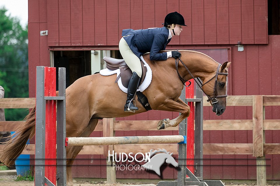 4H-2nd-071517-2191.jpg