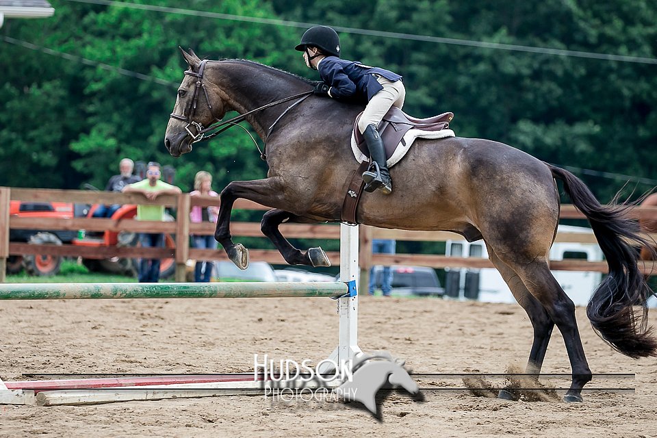 4H-2nd-071517-2199.jpg