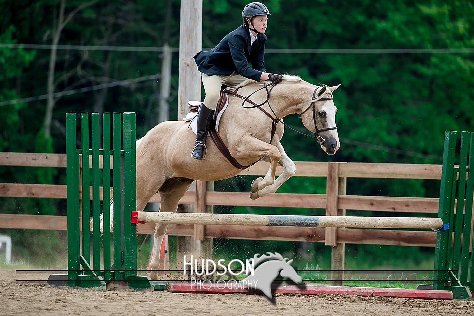 4H-2nd-071517-2206.jpg