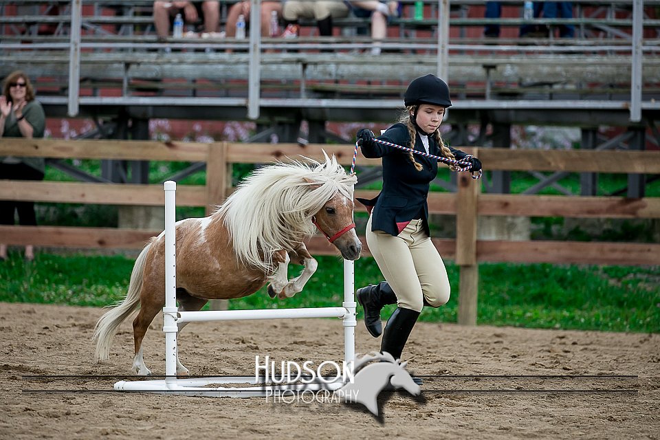 4H-2nd-071517-2250.jpg