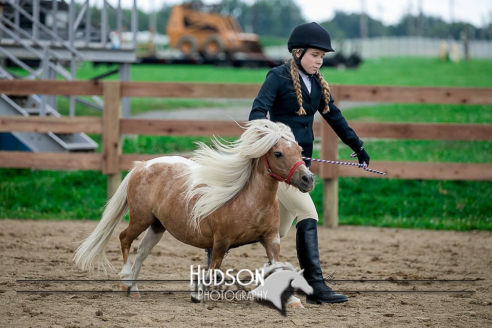 4H-2nd-071517-2252.jpg