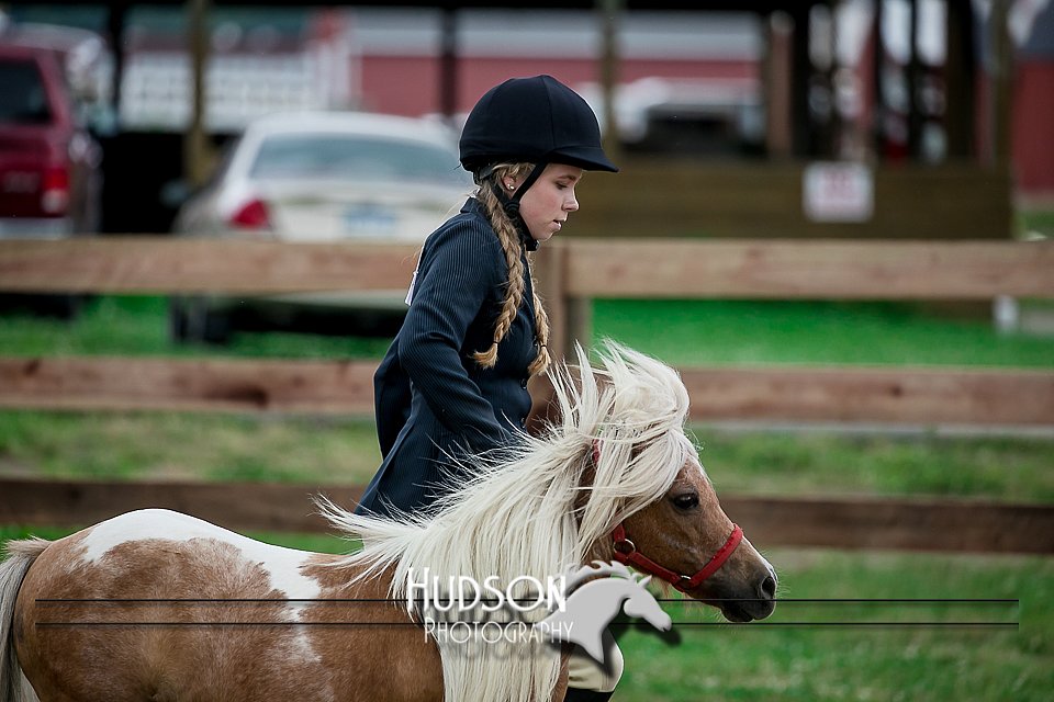 4H-2nd-071517-2255.jpg