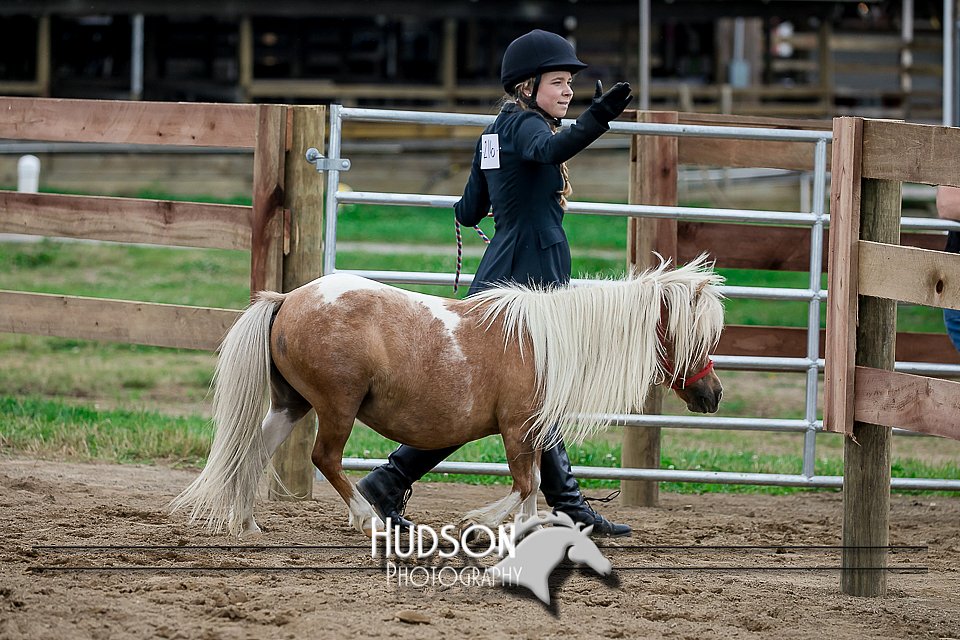4H-2nd-071517-2256.jpg