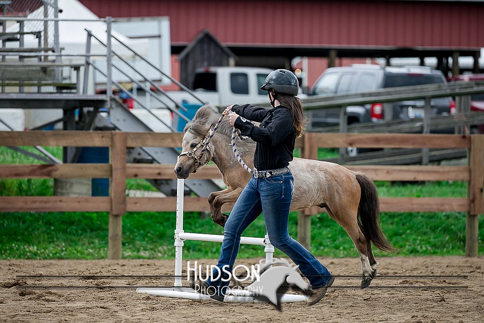 4H-2nd-071517-2258.jpg