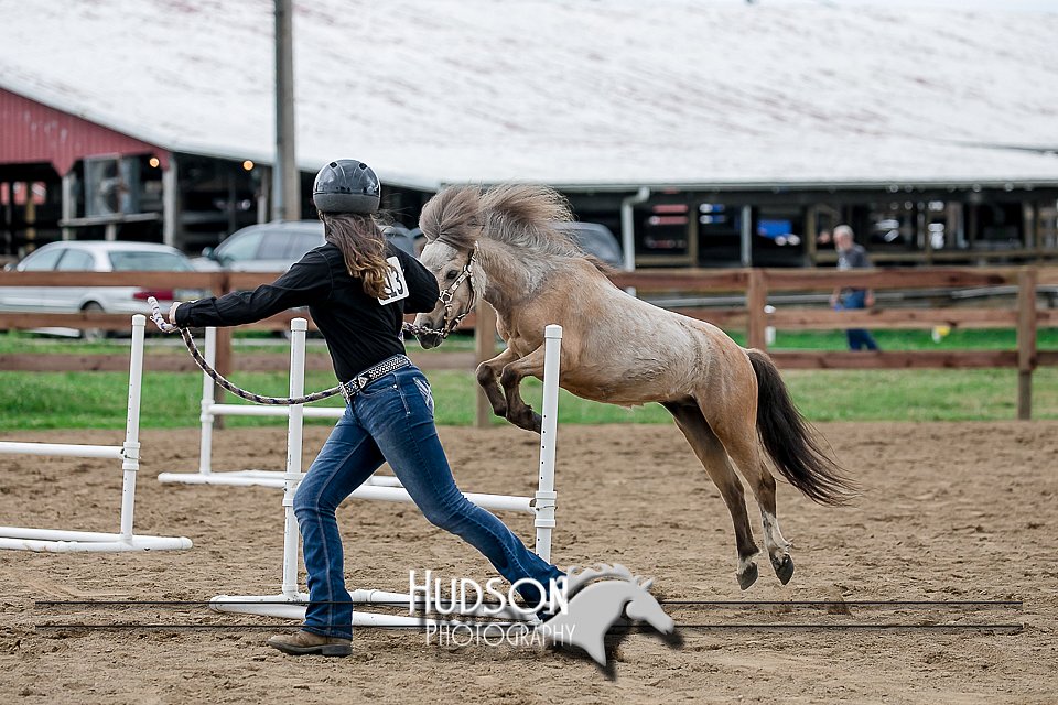 4H-2nd-071517-2262.jpg