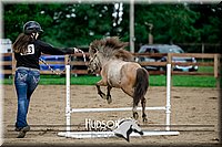 4H-2nd-071517-2216.jpg