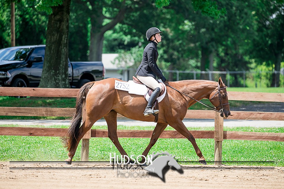 4H-2nd-071517-2562.jpg