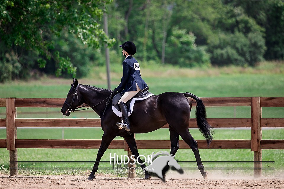 4H-2nd-071517-2634.jpg