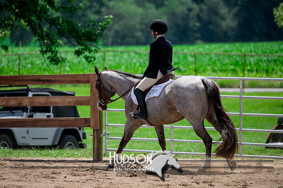 4H-2nd-071517-2635.jpg
