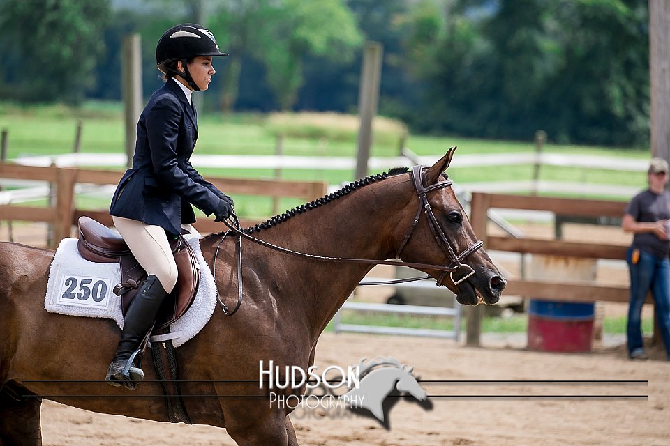 4H-2nd-071517-2696.jpg