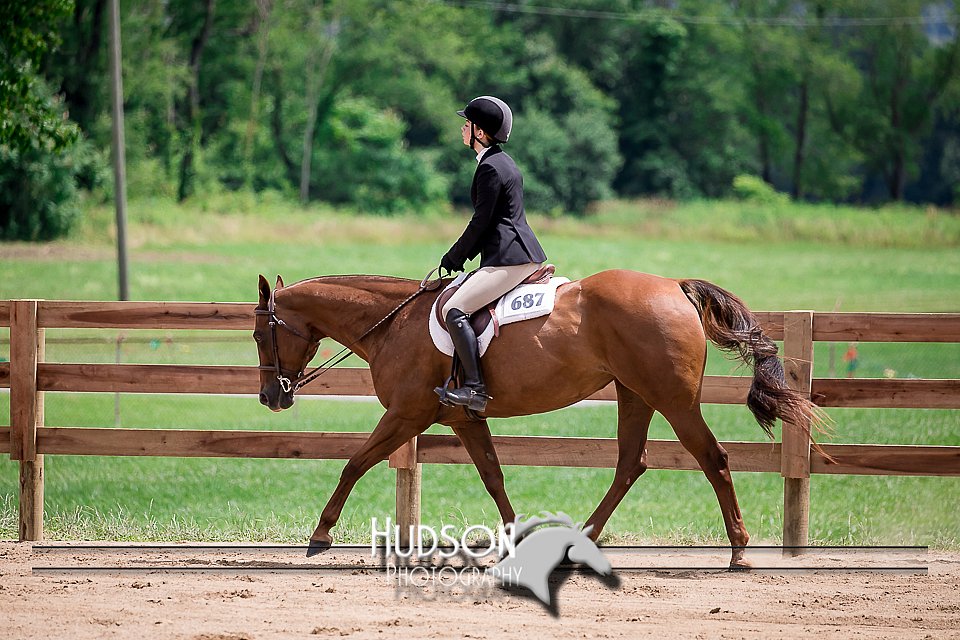 4H-2nd-071517-2698.jpg