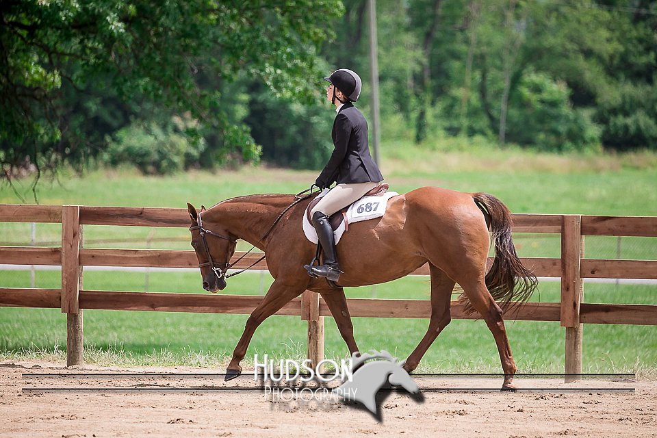 4H-2nd-071517-2699.jpg