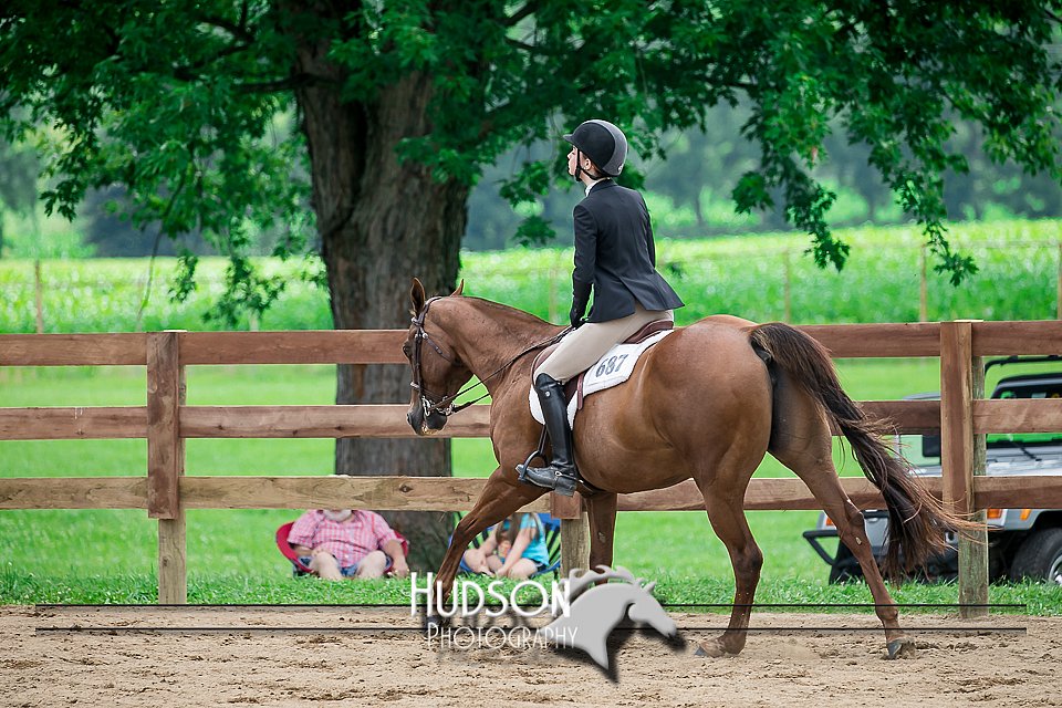 4H-2nd-071517-2703.jpg