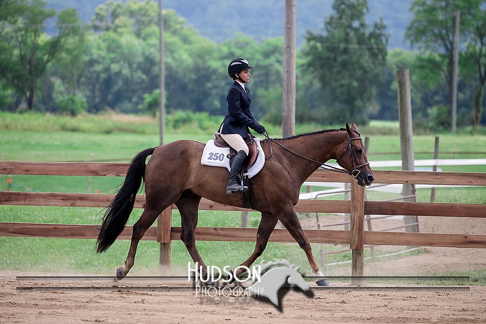 4H-2nd-071517-2708.jpg