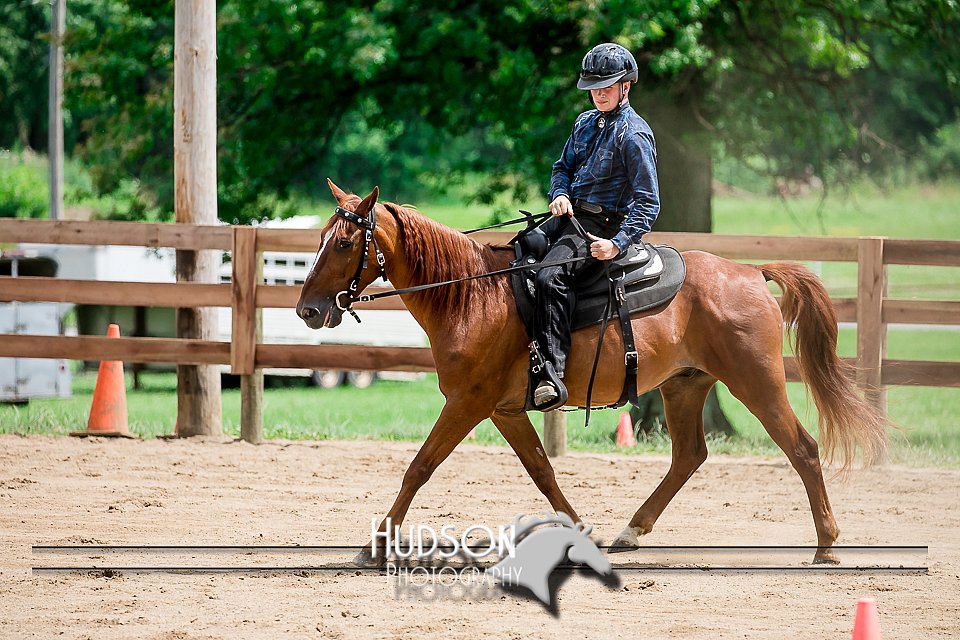 4H-2nd-071517-2771.jpg