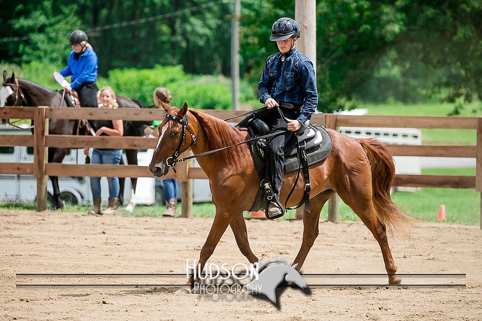 4H-2nd-071517-2772.jpg