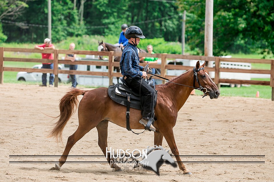 4H-2nd-071517-2776.jpg