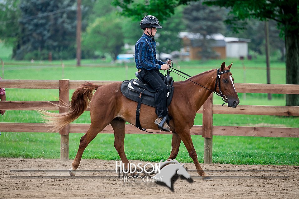 4H-2nd-071517-2808.jpg