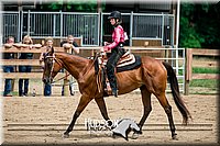 4H-2nd-071517-2865.jpg
