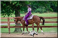 4H-2nd-071517-2882.jpg