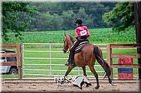 4H-2nd-071517-2891.jpg