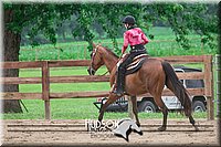 4H-2nd-071517-2892.jpg