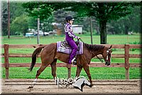 4H-2nd-071517-2899.jpg