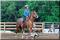 08. Raised Box Keyhole Horse  Jr. Rider