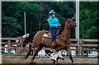 09. Raised Box Keyhole Horse  Sr. Rider