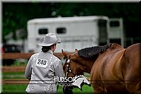 22. Western Grooming & Showmanship - Inter Division