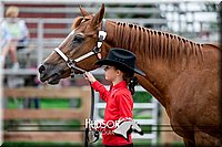 23. Western Grooming & Showmanship - Jr. Division