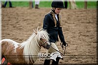 29. Miniature Horse - Sr. Division