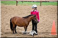 30. Miniature Horse - Jr. Division