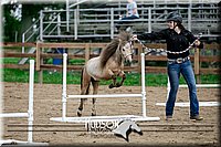 51. Mini Horse Jumping