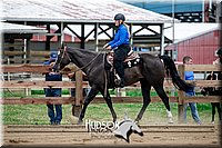 54. Western Pleasure Horses, Sr. Rider