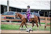 55. Western Pleasure Horses, Jr. Rider