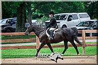 60. Classic Type HUS Horses - Sr. Rider