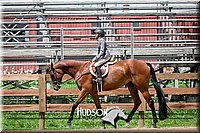 62. Classic Type HUS Horses - Jr. Rider