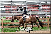 63. Breed Type HUS Horses - Jr. Rider