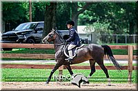 64. Hunter Under Saddle Ponies Large