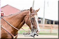 4H-3rd-072817-0765.jpg