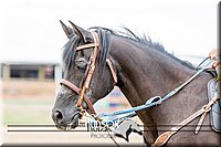4H-3rd-072817-0766.jpg