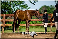4H-3rd-072917-1881.jpg