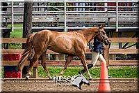 4H-3rd-072917-2031.jpg
