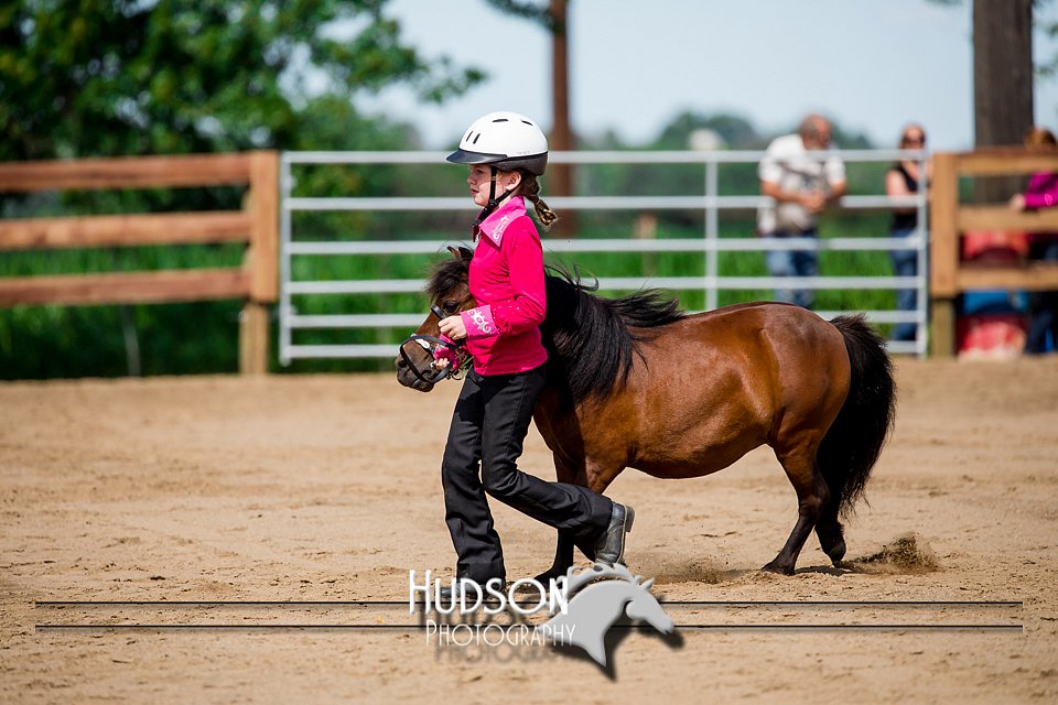 4H-3rd-072917-2230.jpg