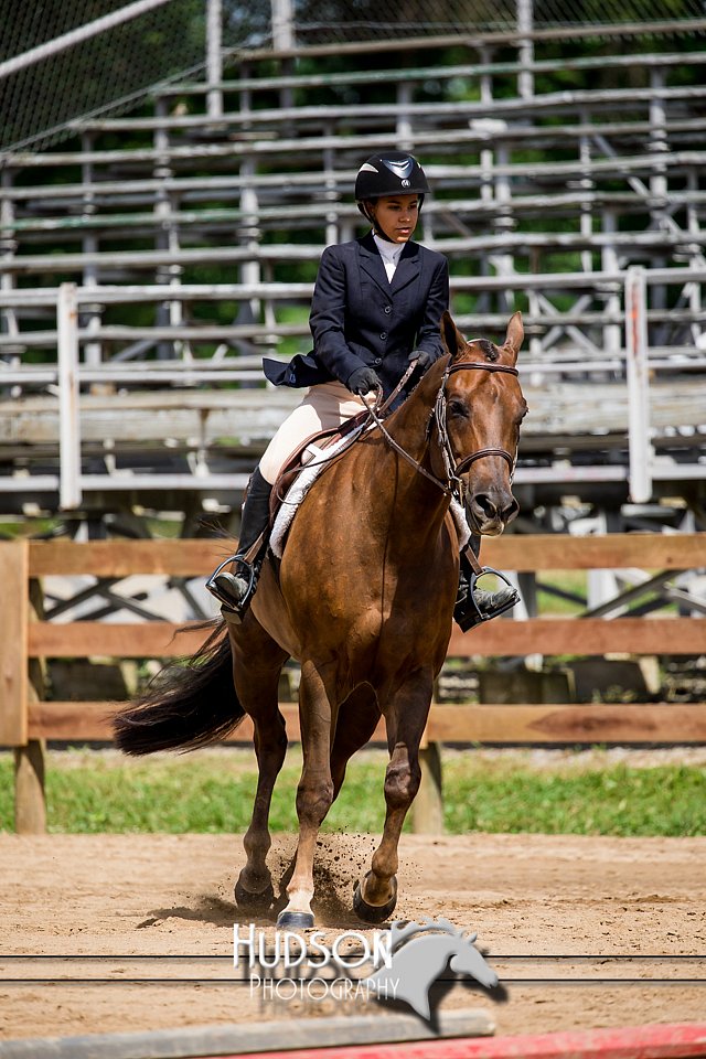 4H-3rd-072917-2341.jpg