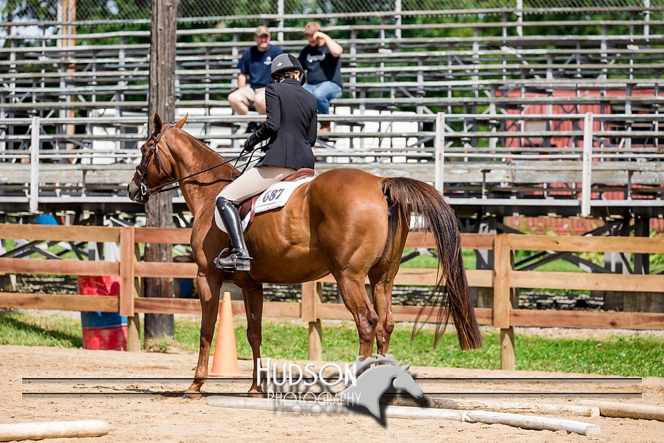 4H-3rd-072917-2381.jpg