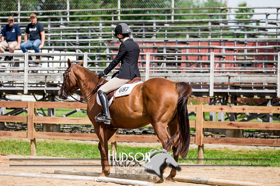 4H-3rd-072917-2384.jpg